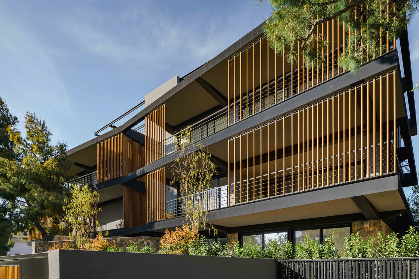 Chainis Development